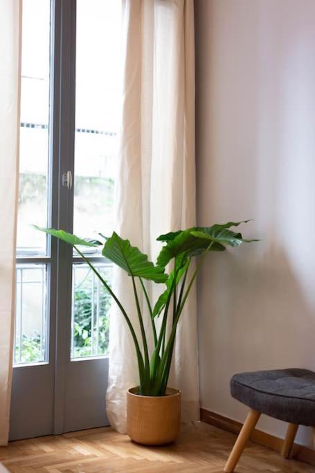 Apartment Blue Truffle *